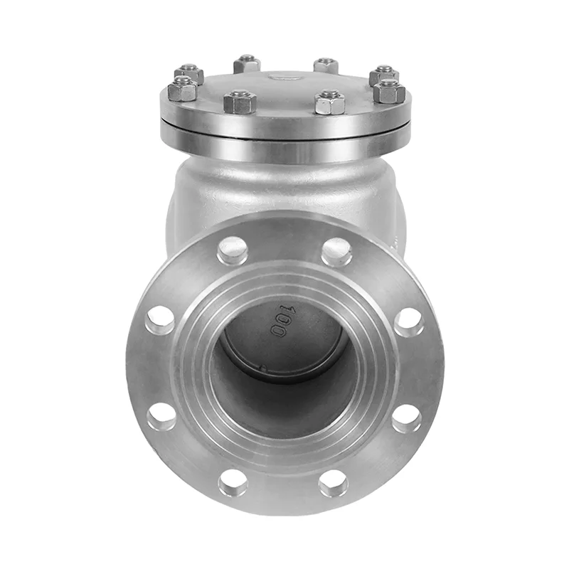 Stainless Steel GB Standard Check Valve